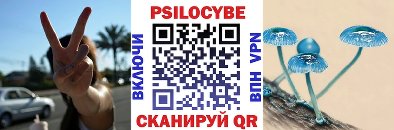 Псилоцибиновые грибы прущие грибы  купить  сайты  Правдинск 